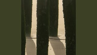 12-Year Revolutions (12-Year Goodbyes)