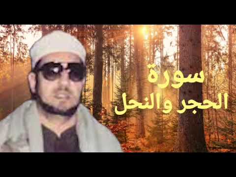 الشيخ محمد عمران سورتي الحجر والنحل