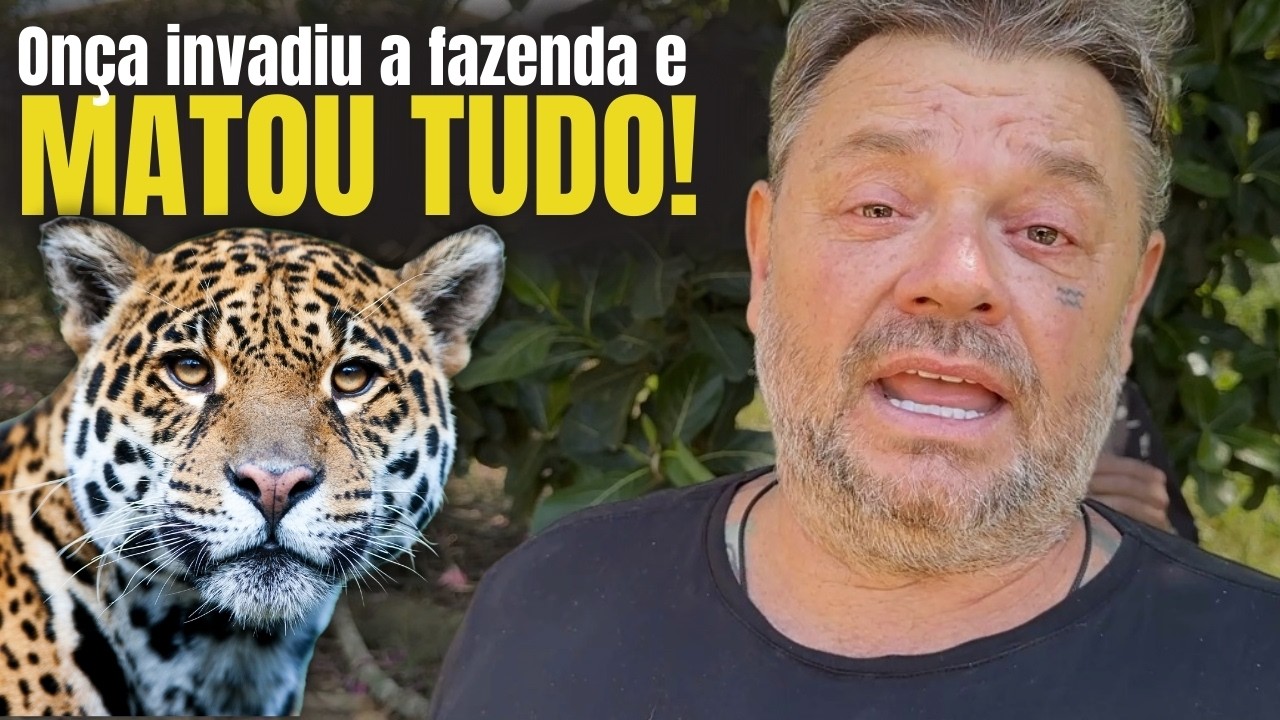 NÃO ERA CACHORRO… ERA ONÇA! O ATAQUE QUE NINGUÉM ESPERAVA ⚠️🐾