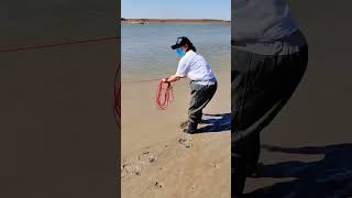 fishing video in river #fishing #net #fishcutting