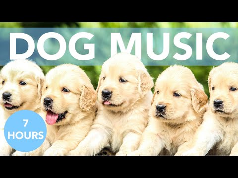 dog sleeping music 10 hours