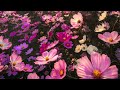 Short Trip Nov / 2025 〜カメラを持って旅を楽しもう〜 by 東京カメラ部