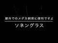 夜のメダカの様子が気になるよね