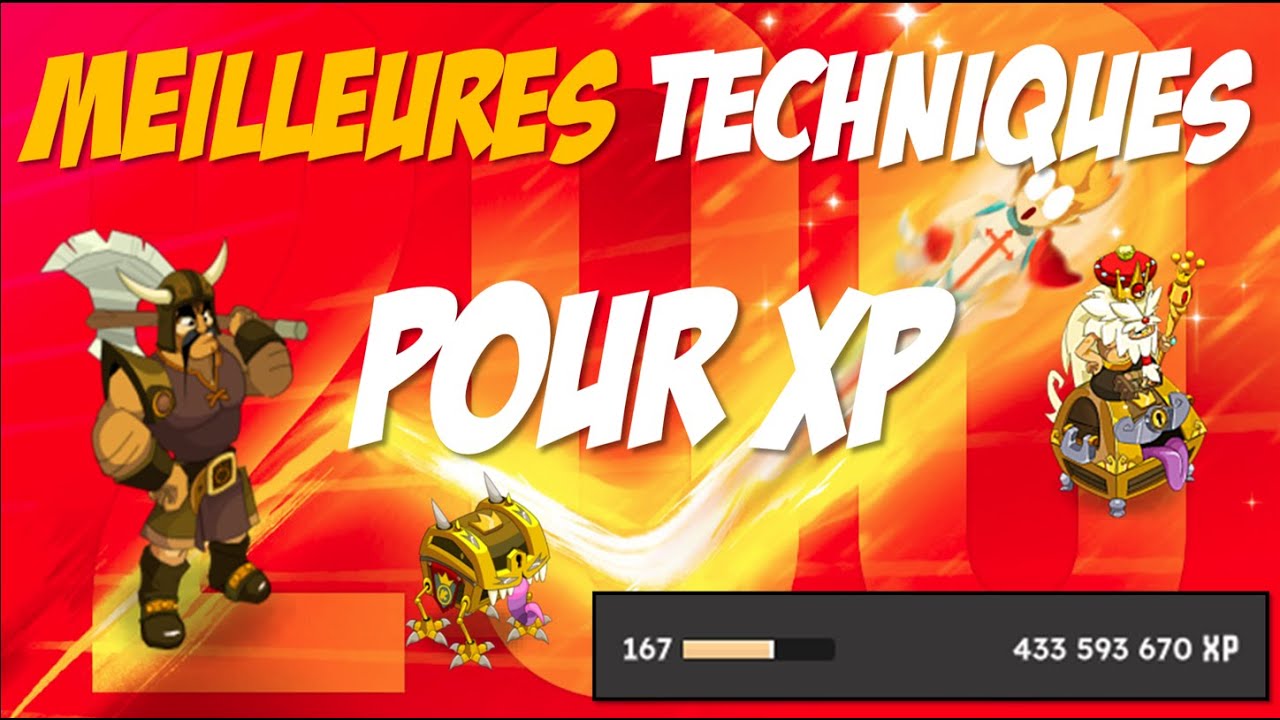 Comment xp ses mules sur Dofus + DISCORD !
