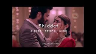 Shiddat - | Slowed   Reverb | Lyrics | Use Headphones 🎧🎧