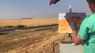 Oil Paint Wheat Field