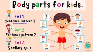 Body Parts For Kids Learning | Parts Of The Body | Spelling Quiz | ESL Kids | 4K