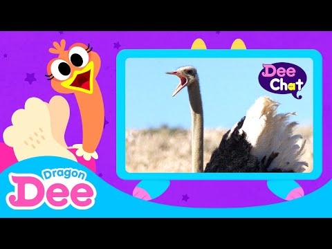Video: Ang Mga Ama Ng Penguin, Ostriches, Chimpanzees: Sino Ang Pinakamahusay Na Ama Sa Kaharian Ng Hayop?