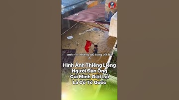 Hình Ảnh Thiêng Liêng Trong Lũ: Người Đàn Ông Cúi Mình Giặt Lại Lá Cờ Tổ Quốc!”#tintuc #giaitri