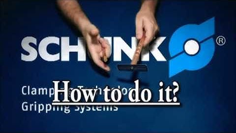 VPD SCHUNK   Verificador de Percepção à Detalhes English Version
