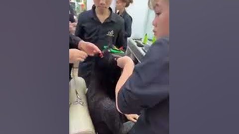 Nối Tóc Bắc Hugo 1 Ngày Làm Hết Công Xuất.