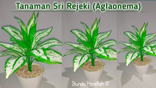 Making Plants from plastic carry bag ll Cara membuat Tanaman Aglonema dari plastik ll DIY craft