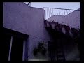 Video montaje del acuario del patio filmado durante la noche e iluminado con luz artificial