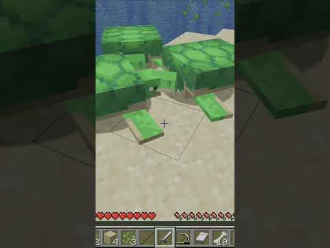 Τι κάνουν οι χελώνες στο Minecraft;