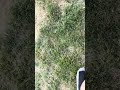 that was tuff🗿🤝 #shorts #shortsfeed #funny #subscribe #soccer #sports #goal #aura #tuff