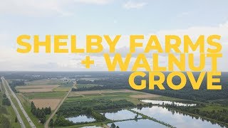 Shelby Farms and Walnut Grove 4K