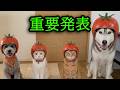 皆さまに重要発表があります...