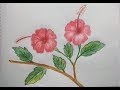 Haw to draw hibiscus flower for beginners ( very easy)