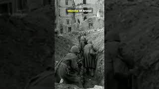 Stalingrad: The Turning Point That Broke Hitler’s Army 🇷🇺🔥 #ww2 #shorts