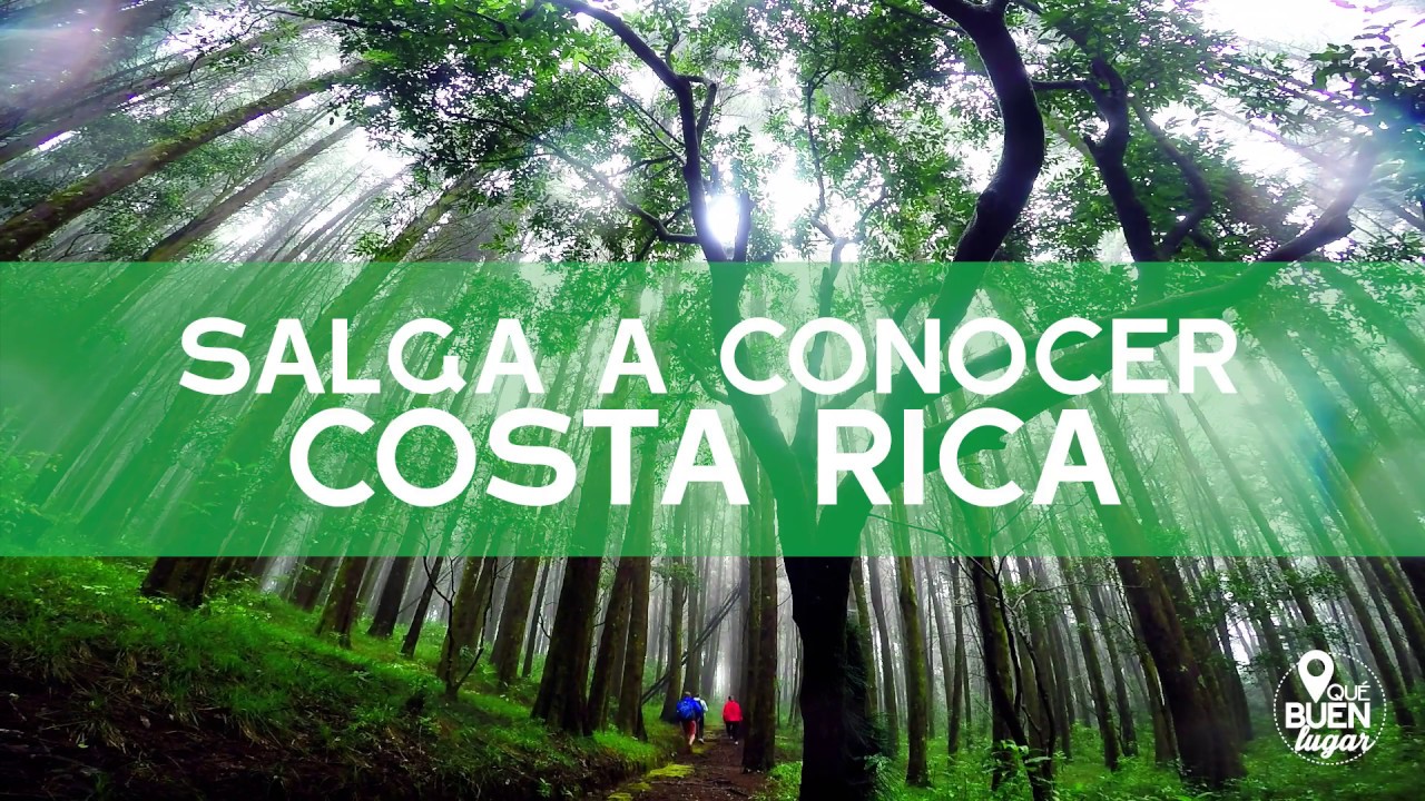 Costa Rica Bosque del niño Grecia ¡Qué buen lugar! HD YouTube
