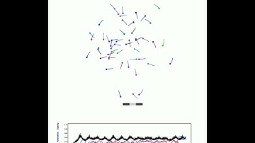 Modeling collective behaviors from optic flow and retinal cues: Video S10