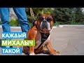 КАЖДЫЙ МИХАЛЫЧ ТАКОЙ