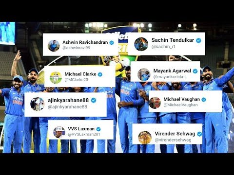 India vs Australia: Cricket world hails Vijay Shankar for giving India 2-0 ...