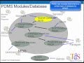 PDMS Databases and Modules