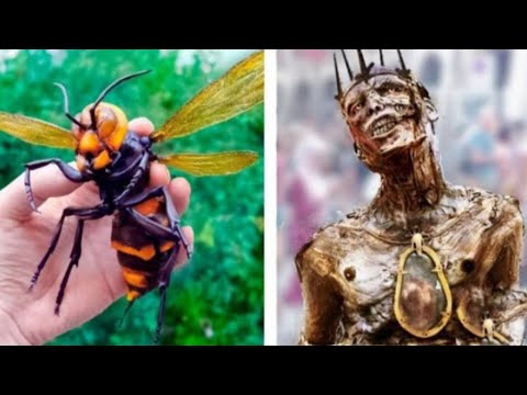 Укусы Этого Существа превращают в Зомби..