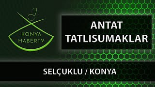 Antat Tatlisumaklar  Seluklu  Konya