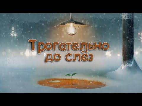 Видео: Трогательно до слёз!