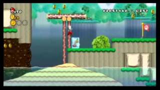 Another Super Mario Bros Wii 100 41