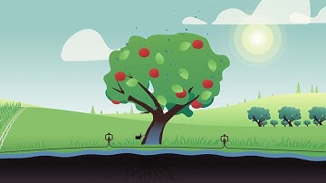 Phytech Onboarding #5   Plant Data