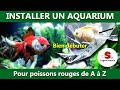 Installer un aquarium pour poisson rouge pour dbutant 