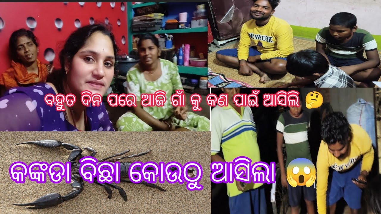 କଙ୍କଡା ବିଛା ହଟାତ କୋଉଠୁ ଆସିଲା 😱 ବହୁତ ଦିନ ପରେ ଆଜି ଗାଁ କୁ କଣ ପାଇଁ ଆସିଲି ❤️