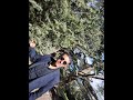اغنية لميمة امناي الشاوي 