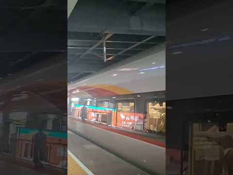 fuxinhao departing fuzhou station | #china #indiantrainsimulatormodapk #train