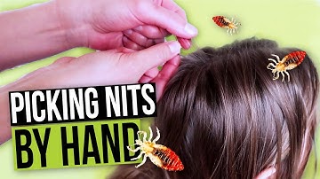 Nit Picking By Hand | How to Pick Nits and Lice Eggs out of Hair