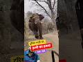 देखिए जब अचानक एक हाथी जंगल के अंदर टूरिस्टों की गाड़ी का पीछा कर लेता है! #tourism #tour #elephant