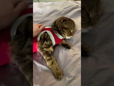 6-ой день после