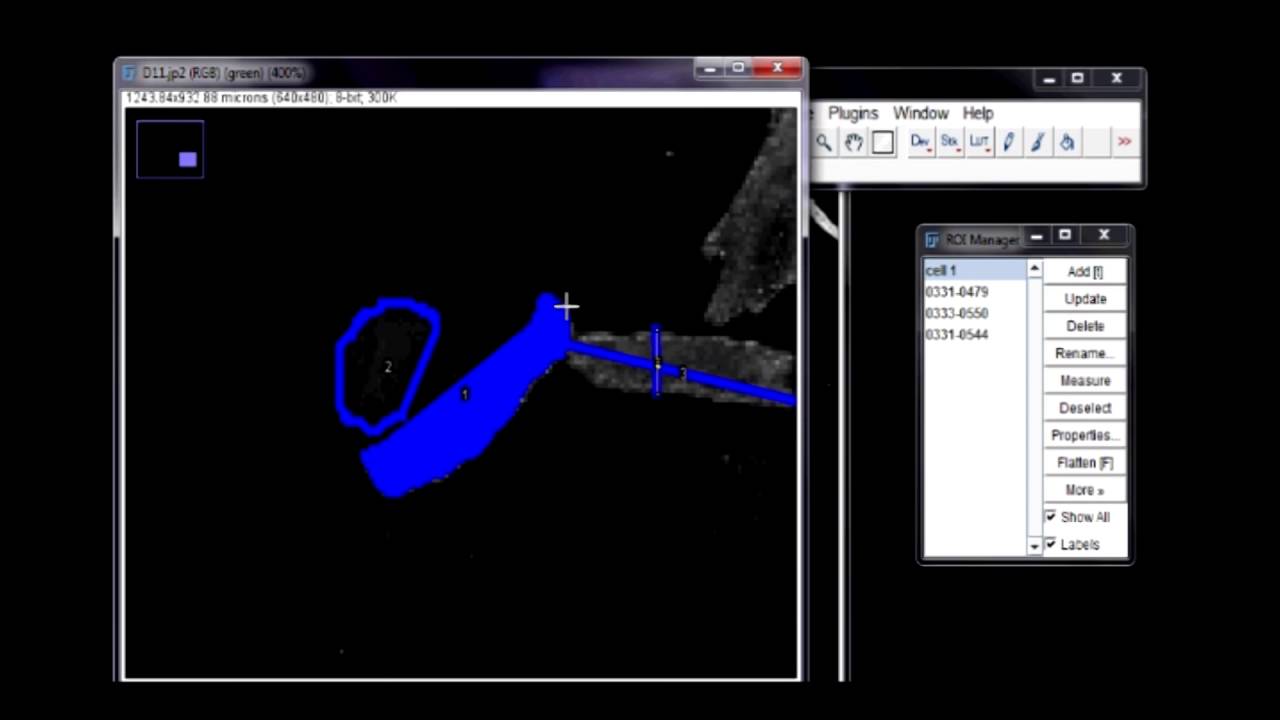 how to use imagej software to measure areas