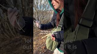 Finding bones in the woods!!