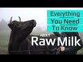 Benefits of Raw Milk  | Why Jersey Cows? | Raw Milk Processing | Where To Get  Unpasteurized Milk
