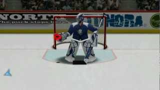 Virtual Goaltender