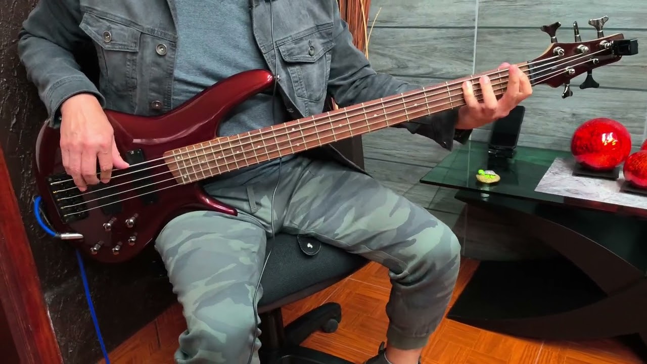 PAMELA/TOTO.                                                               Bass cover.
