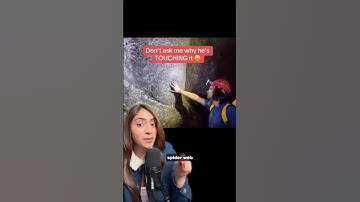 Scientists Discover World’s Largest Spider Web