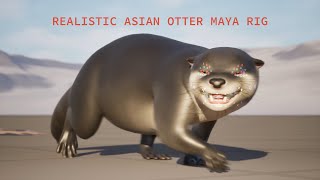 Realistic Asian Otter Maya Rig Teaser