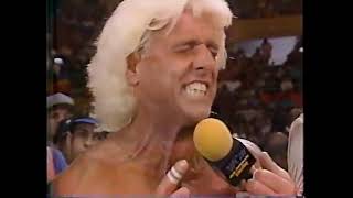 Four Horsemen Interview 93'