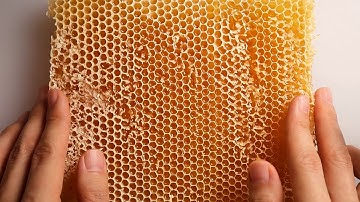 ASMR Most Satisfying Honeycomb Triggers 🍯🐝 ASMR 재료는 벌집꿀로 하겠습니다. 근데 이제 밀랍랩을 곁들인.