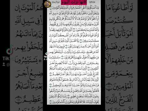 كأنها نزلت اليوم الشيخ عرفات النجار